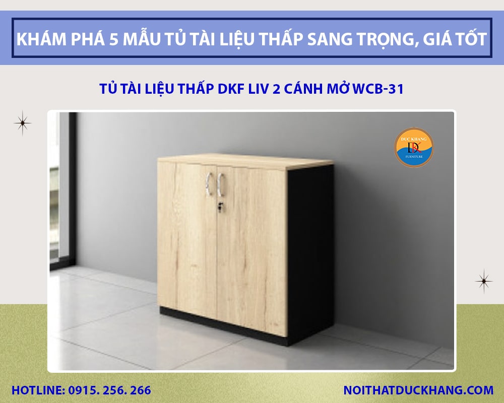 Tủ tài liệu thấp DKF LIV 2 cánh mở WCB-31
