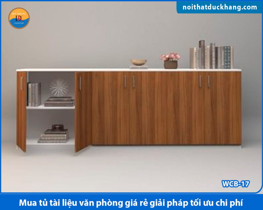 Mua tủ tài liệu văn phòng giá rẻ giải pháp tối ưu chi phí